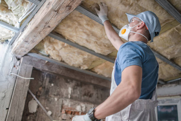Best Professional Insulation Contractor  in Mount Pleasant, TX