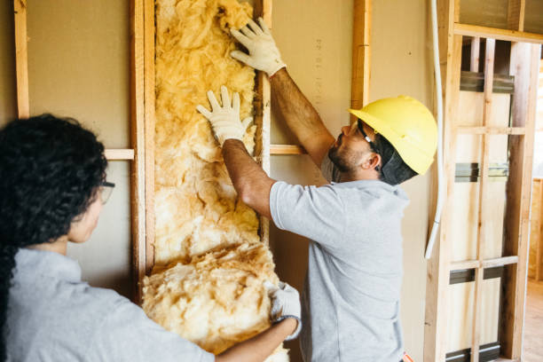 Best Attic Insulation Installation  in Mount Pleasant, TX
