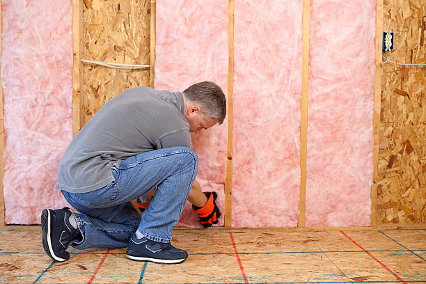 Best Fiberglass Insulation  in Mount Pleasant, TX