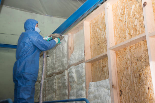 Best Best Insulation Companies  in Mount Pleasant, TX
